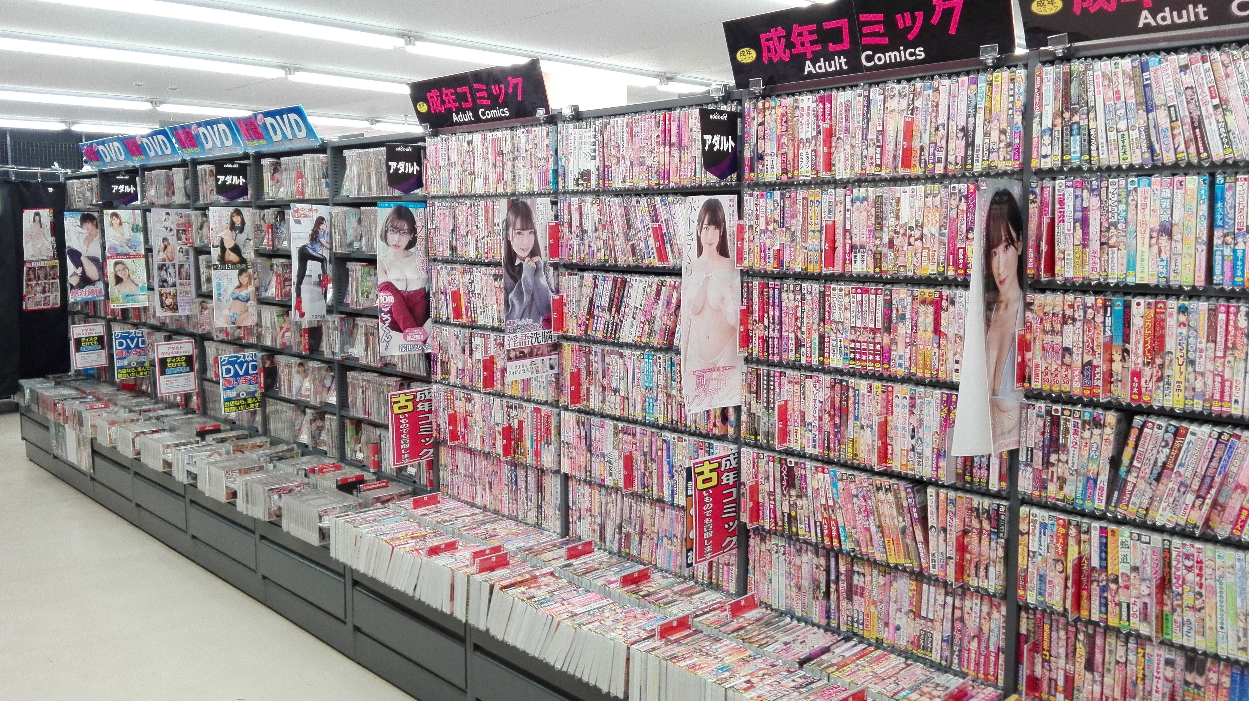 ブック オフ オンライン アダルト